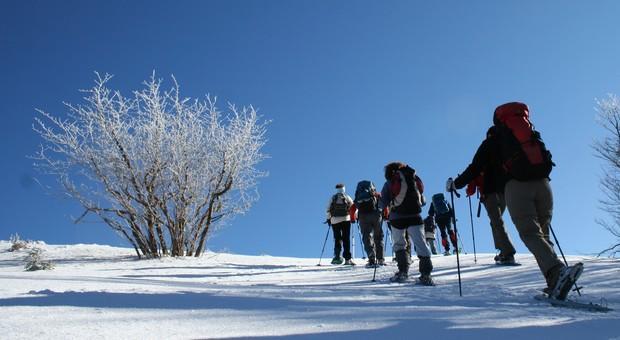 Chambres D'Hotes Les Cigognes メッツェラル エクステリア 写真